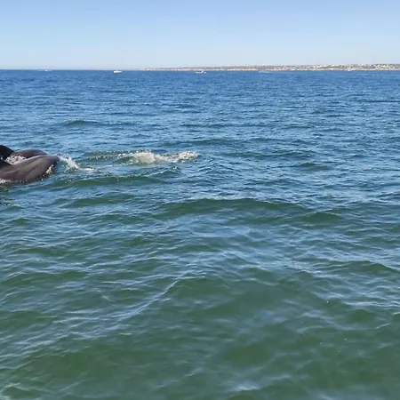 Albufeiraorada Garden By Be Cherish Albufeira